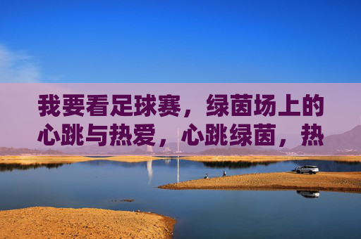 我要看足球赛，绿茵场上的心跳与热爱，心跳绿茵，热爱燃场
