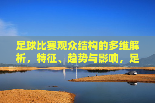 足球比赛观众结构的多维解析,特征、趋势与影响,足球比赛观众结构的多维解析,特征、趋势与影响