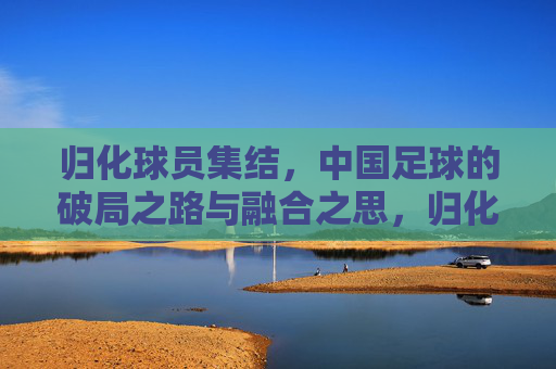 归化球员集结,中国足球的破局之路与融合之思,归化球员集结,中国足球的破局融合之路