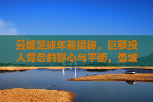 曼城足球年薪揭秘,巨额投入背后的野心与平衡,曼城年薪揭秘,巨额投入背后的野心与平衡