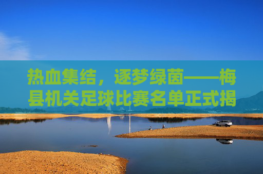 热血集结,逐梦绿茵——梅县机关足球比赛名单正式揭晓,热血集结逐梦绿茵!梅县机关足球比赛名单揭晓