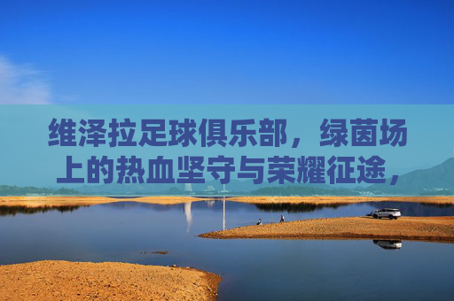 维泽拉足球俱乐部,绿茵场上的热血坚守与荣耀征途,维泽拉足球俱乐部,绿茵场上的热血坚守与荣耀征途