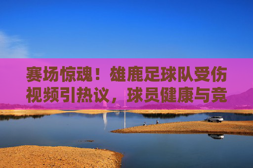 赛场惊魂!雄鹿足球队受伤视频引热议,球员健康与竞技体育的平衡再审视,雄鹿足球队受伤视频引热议,赛场惊魂下的健康与竞技平衡再审视