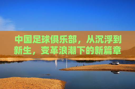 中国足球俱乐部，从沉浮到新生，变革浪潮下的新篇章，沉浮中新生，变革绘新篇，中国足球俱乐部