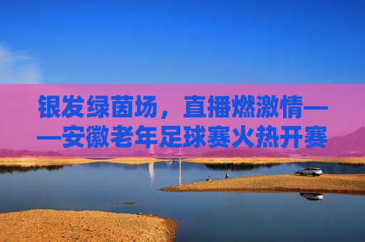 银发绿茵场，直播燃激情——安徽老年足球赛火热开赛，直播燃情银发绿茵场，老年足球赛火热开赛