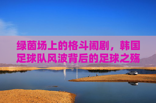绿茵场上的格斗闹剧，韩国足球队风波背后的足球之殇，绿茵格斗闹剧，韩国队风波背后的足球之殇