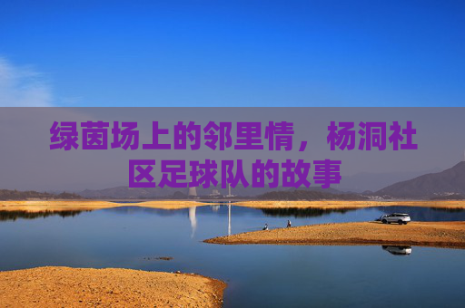 绿茵场上的邻里情,杨洞社区足球队的故事