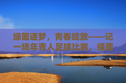 绿茵逐梦，青春绽放——记一场年青人足球比赛，绿茵逐梦，青春绽放