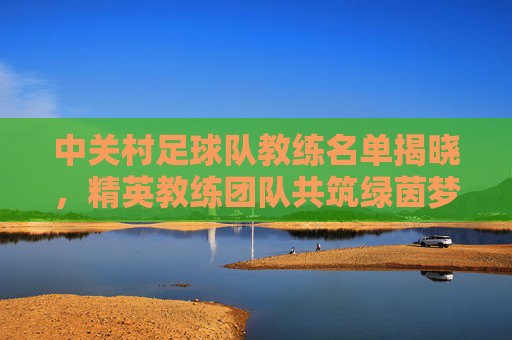 中关村足球队教练名单揭晓,精英教练团队共筑绿茵梦想,中关村足球队教练名单揭晓,精英团队共筑绿茵梦想