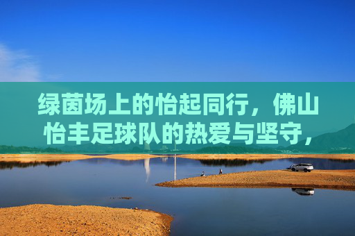 绿茵场上的怡起同行，佛山怡丰足球队的热爱与坚守，绿茵怡同行，佛山怡丰足球队的热爱与坚守