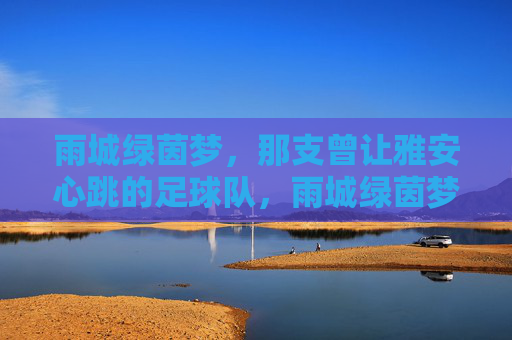 雨城绿茵梦,那支曾让雅安心跳的足球队,雨城绿茵梦,让雅安心跳的足球队
