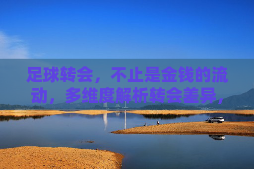 足球转会，不止是金钱的流动，多维度解析转会差异，足球转会差异，多维度解析，超越金钱流动
