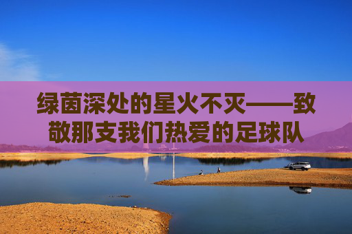 绿茵深处的星火不灭——致敬那支我们热爱的足球队