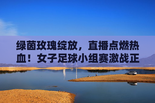 绿茵玫瑰绽放，直播点燃热血！女子足球小组赛激战正酣，绿茵玫瑰绽放，直播点燃小组赛热血