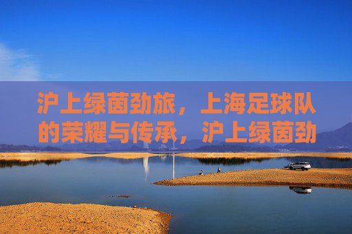 沪上绿茵劲旅，上海足球队的荣耀与传承，沪上绿茵劲旅，上海足球队荣耀传承