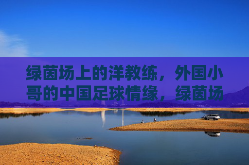 绿茵场上的洋教练，外国小哥的中国足球情缘，绿茵场上的洋教练，中国足球情缘