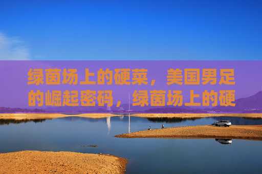 绿茵场上的硬菜，美国男足的崛起密码，绿茵场上的硬菜，美国男足崛起密码