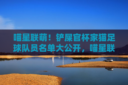 喵星联萌!铲屎官杯家猫足球队员名单大公开,喵星联萌!铲屎官杯家猫足球队员名单大公开