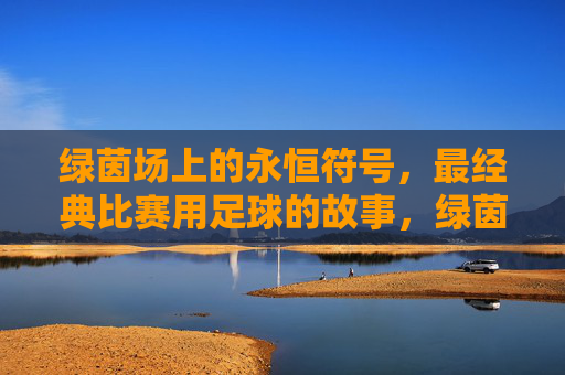 绿茵场上的永恒符号,最经典比赛用足球的故事,绿茵永恒符号,经典比赛足球的故事