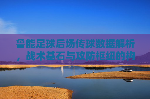 鲁能足球后场传球数据解析,战术基石与攻防枢纽的构建,鲁能后场传球数据解析,战术基石与攻防枢纽构建