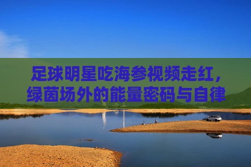 足球明星吃海参视频走红，绿茵场外的能量密码与自律哲学，海参里的绿茵能量，足球明星的自律密码