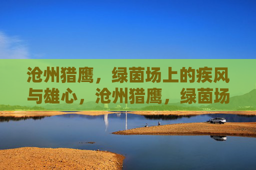 沧州猎鹰,绿茵场上的疾风与雄心,沧州猎鹰,绿茵场疾风与雄心