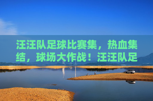 汪汪队足球比赛集，热血集结，球场大作战！汪汪队足球热血集结，球场大作战！