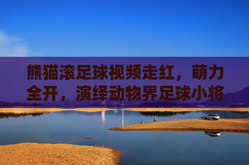 熊猫滚足球视频走红，萌力全开，演绎动物界足球小将的治愈瞬间，熊猫滚足球萌力全开，演绎动物界治愈瞬间