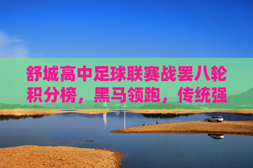 舒城高中足球联赛战罢八轮积分榜,黑马领跑,传统强队蓄势待发,舒城高中足球联赛战罢八轮,黑马领跑,传统强队蓄势待发