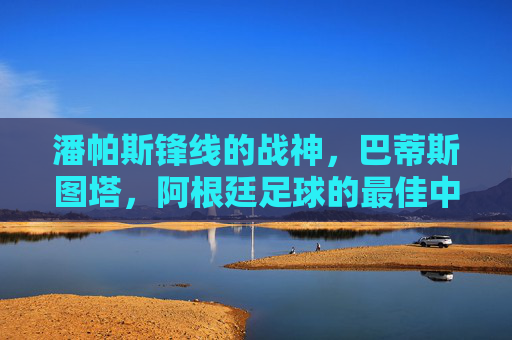 潘帕斯锋线的战神,巴蒂斯图塔,阿根廷足球的最佳中锋,潘帕斯战神巴蒂斯图塔,阿根廷足球最佳中锋