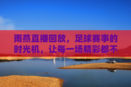 雨燕直播回放，足球赛事的时光机，让每一场精彩都不缺席，雨燕直播回放，足球赛事的时光机，精彩永不缺席