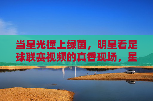 当星光撞上绿茵，明星看足球联赛视频的真香现场，星光撞上绿茵，明星看足球联赛的真香现场