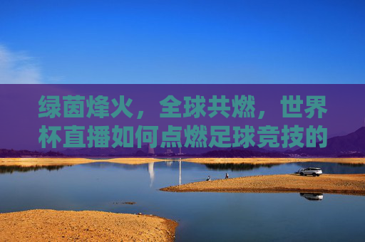 绿茵烽火,全球共燃,世界杯直播如何点燃足球竞技的激情与梦想,世界杯直播,燃绿茵烽火,聚全球梦想