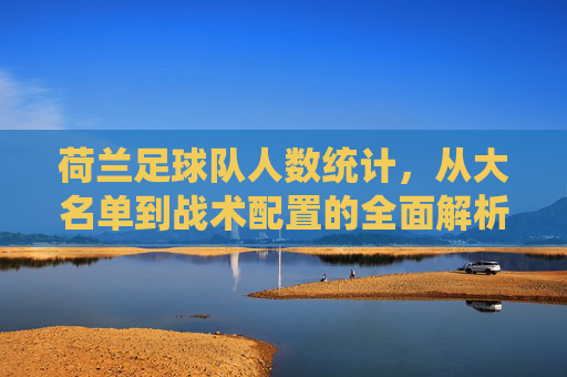 荷兰足球队人数统计,从大名单到战术配置的全面解析,荷兰足球队,从大名单人数到战术配置的全面解析