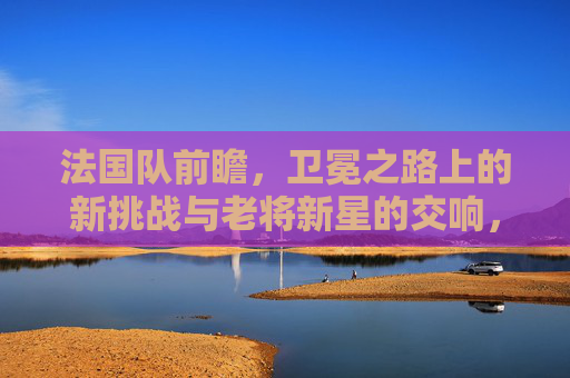 法国队前瞻，卫冕之路上的新挑战与老将新星的交响，法国队卫冕交响，老将新星共谱挑战新篇