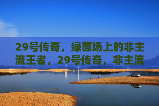 29号传奇,绿茵场上的非主流王者,29号传奇,非主流绿茵王者