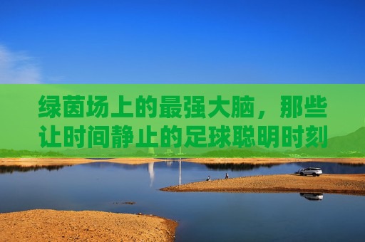 绿茵场上的最强大脑,那些让时间静止的足球聪明时刻视频,绿茵场最强大脑,让时间静止的足球聪明瞬间
