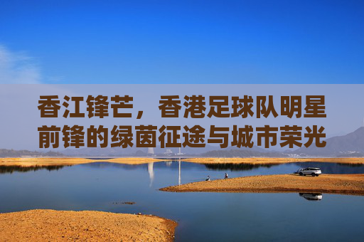 香江锋芒，香港足球队明星前锋的绿茵征途与城市荣光，香江锋芒，前锋的绿茵征途与城市荣光