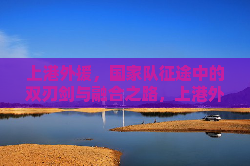 上港外援,国家队征途中的双刃剑与融合之路,上港外援,国家队征途的双刃剑与融合之路