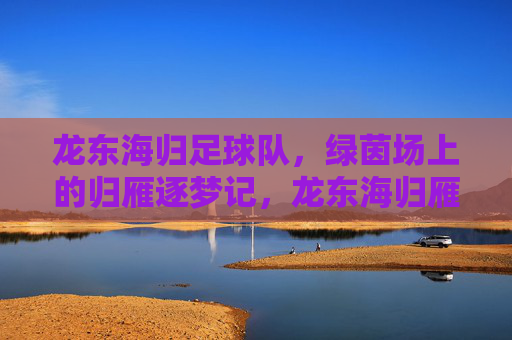 龙东海归足球队,绿茵场上的归雁逐梦记,龙东海归雁,绿茵逐梦记
