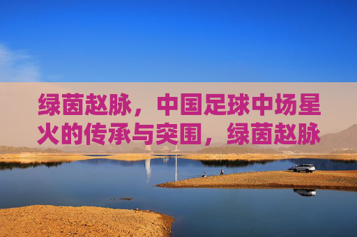 绿茵赵脉,中国足球中场星火的传承与突围,绿茵赵脉,中国足球中场星火的传承与突围