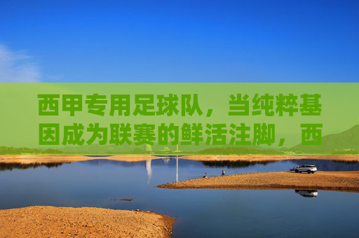 西甲专用足球队,当纯粹基因成为联赛的鲜活注脚,西甲专用球队的纯粹基因,联赛鲜活的风格注脚