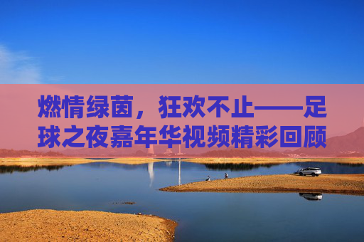 燃情绿茵,狂欢不止——足球之夜嘉年华视频精彩回顾,燃情绿茵,狂欢不止,足球之夜嘉年华视频回顾