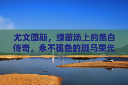 尤文图斯，绿茵场上的黑白传奇，永不褪色的斑马荣光，黑白传奇，永不褪色的斑马荣光