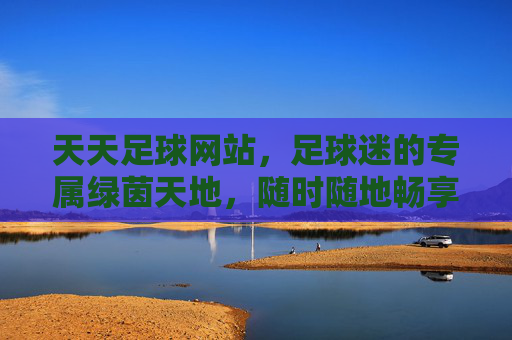 天天足球网站，足球迷的专属绿茵天地，随时随地畅享足球激情，天天足球，足球迷专属绿茵天地，随时随地畅享足球激情