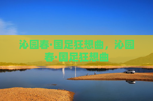 沁园春·国足狂想曲,沁园春·国足狂想曲