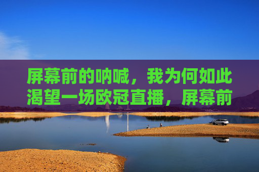 屏幕前的呐喊，我为何如此渴望一场欧冠直播，屏幕前的呐喊，渴望一场欧冠直播