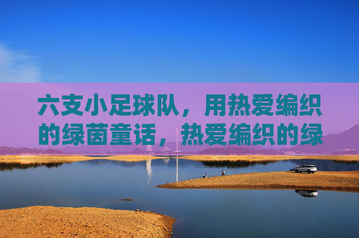 六支小足球队，用热爱编织的绿茵童话，热爱编织的绿茵童话，六支小队的梦