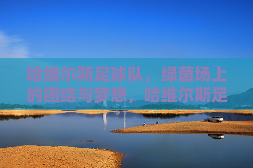 哈维尔斯足球队,绿茵场上的团结与梦想,哈维尔斯足球队,绿茵场上的团结与梦想