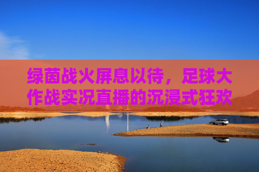 绿茵战火屏息以待，足球大作战实况直播的沉浸式狂欢，绿茵战火实况直播沉浸式狂欢